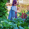 Colonial Woman Gardening 1 - Oil Painting Style